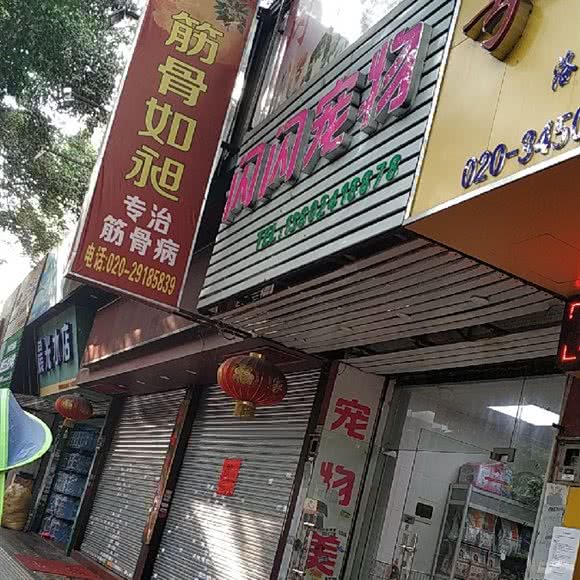 闪闪狗狗:广州市番禺区洛溪附近