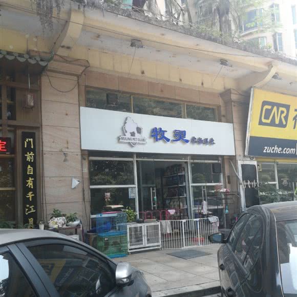 牧灵:广州市番禺区洛溪附近