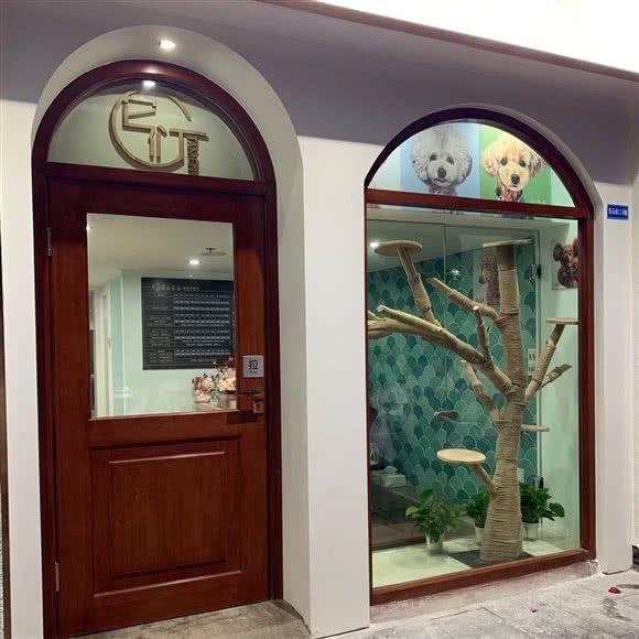 它们宠物美容工作室:广州市番禺区洛溪附近