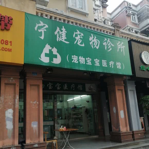 宁健宠物诊所:广州市番禺区洛溪附近