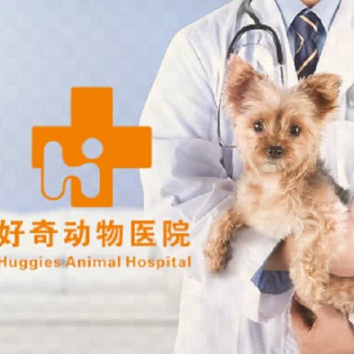 好奇动物医院(洛溪店):广州市番禺区洛溪附近