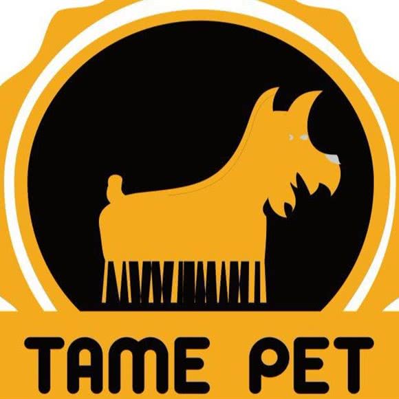 太萌宠物训练寄养:广州市番禺区市桥南附近