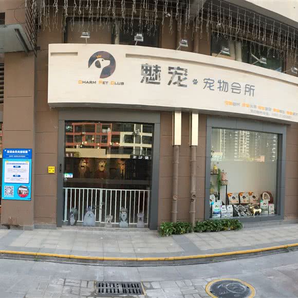 魅宠宠物狗会所:广州市番禺区市桥南附近