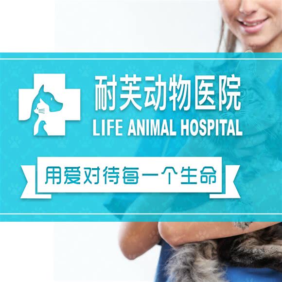 耐芙动物医院(桥南店):广州市番禺区市桥南附近