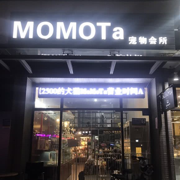 momota宠物会所:广州市番禺区长隆/南村附近
