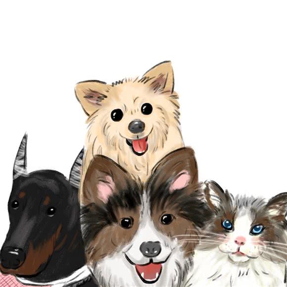 月宠犬喵属舍·moon pets(奥园城市天地店):广州市番禺区长隆/南村附近