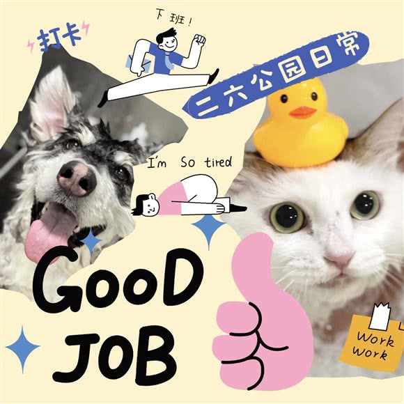 Bite Me二六公园宠物店:广州市番禺区长隆/南村附近