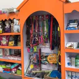 宠乐动物诊所:广州市番禺区长隆/南村附近