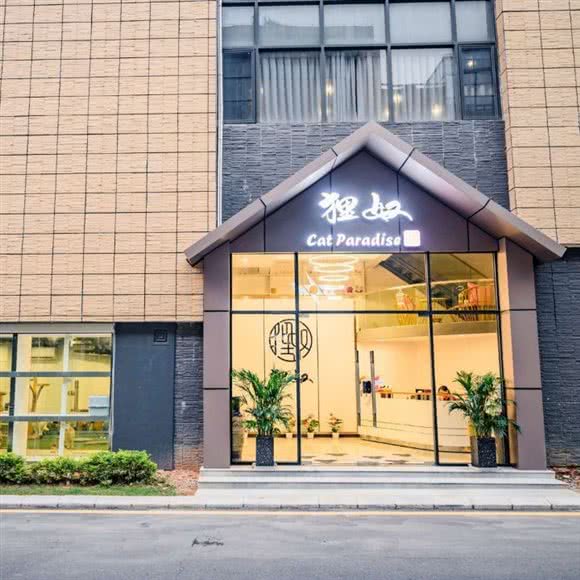 广州狸奴猫酒店:广州市番禺区钟村附近