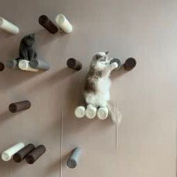 meowpark:广州市番禺区钟村附近