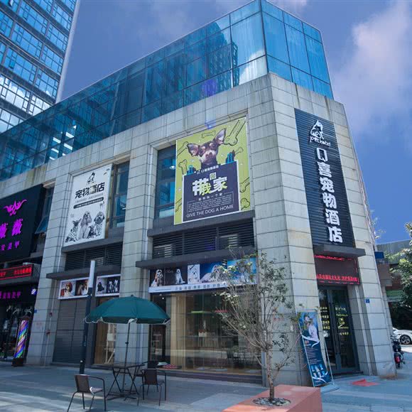 Q喜宠物酒店(祈福店):广州市番禺区钟村附近