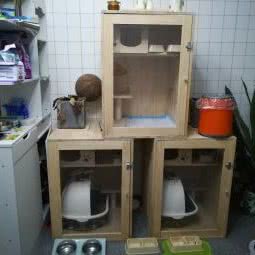 E&J 猫咪寄养酒店:广州市番禺区钟村附近