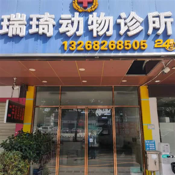 瑞琦宠物诊所:广州市番禺区钟村附近