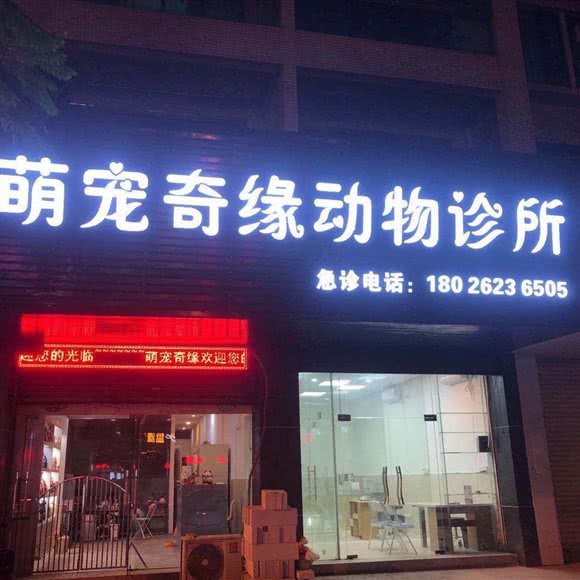 萌宠奇缘动物诊所:广州市番禺区钟村附近