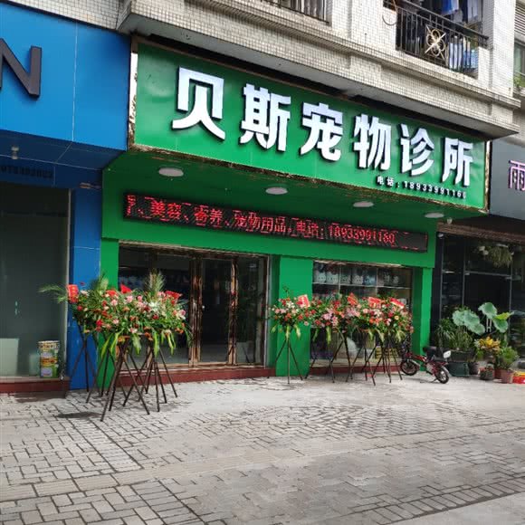 贝斯宠物诊所:广州市番禺区钟村附近