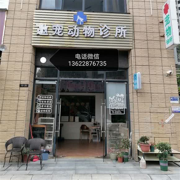 邀宠宠物诊所·平价医疗:广州市番禺区钟村附近