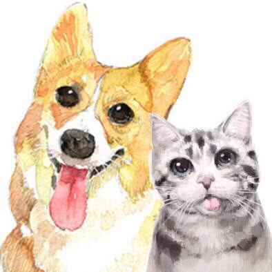 魔力宠物(东怡新区店):广州市番禺区番禺广场附近