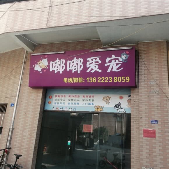 嘟嘟爱宠:广州市番禺区番禺广场附近