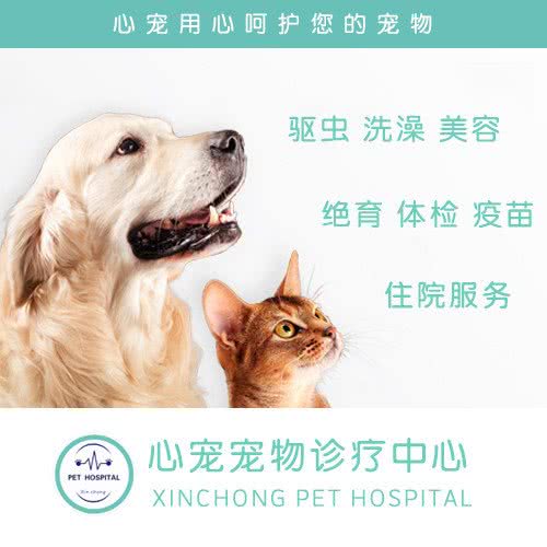 心宠宠物医院:广州市番禺区番禺广场附近