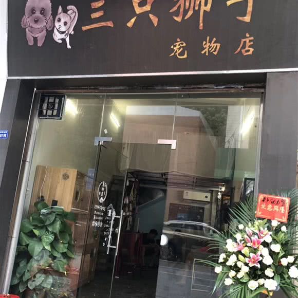 三只狮子:广州市番禺区大石附近