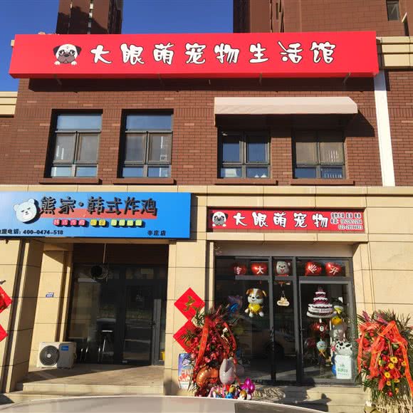 大眼萌宠物(首创城店):天津城区津南区津南大学城附近