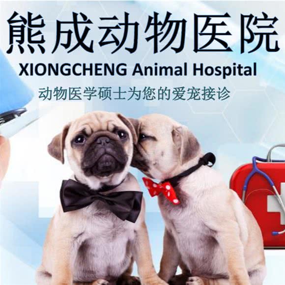 熊成动物医院:广州市番禺区大石附近