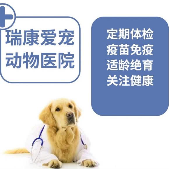 瑞康爱宠动物医院:广州市番禺区大石附近