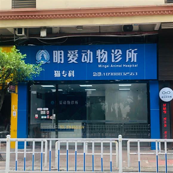 明爱宠物医院:广州市番禺区南浦附近
