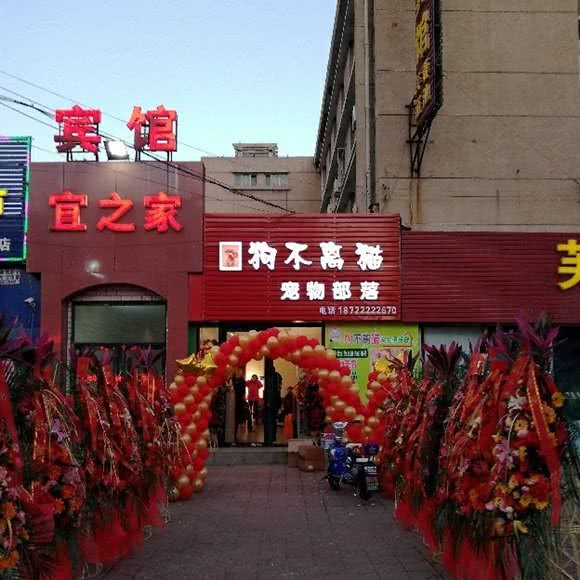 狗不离猫宠物部落:天津城区北辰区宜兴埠附近