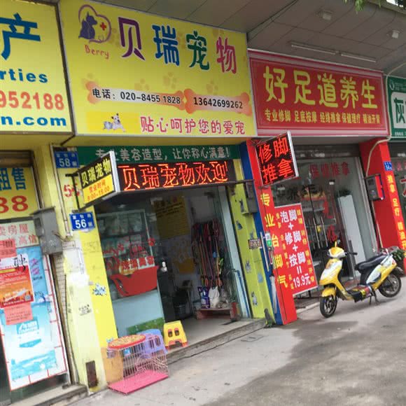 贝瑞宠物:广州市番禺区石碁附近