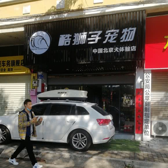 酷狮子宠物:广州市番禺区石碁附近