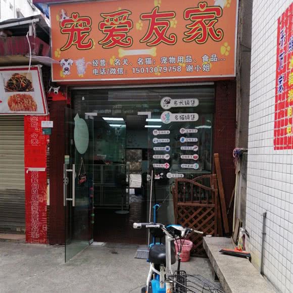 宠爱友家:广州市番禺区石碁附近