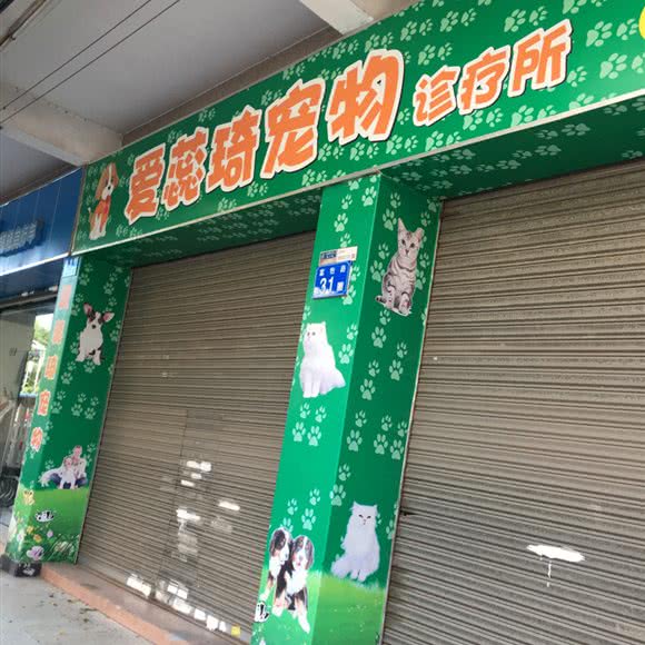 爱蕊琦宠物诊疗所:广州市番禺区石碁附近