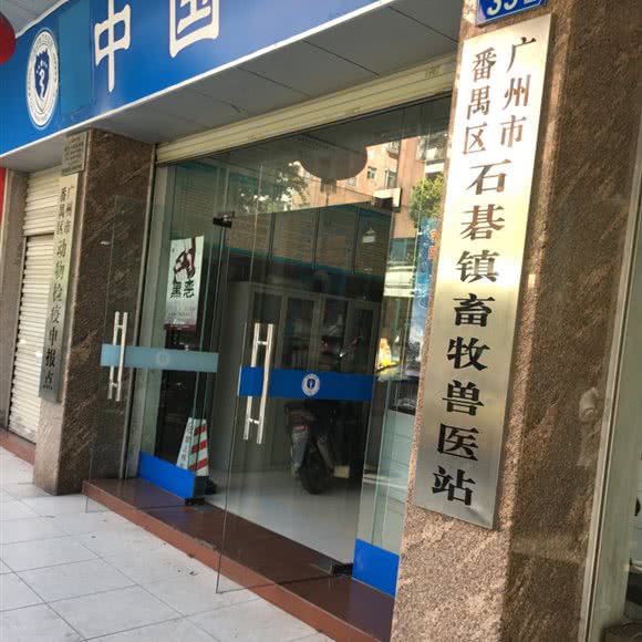 石碁镇畜牧兽医站:广州市番禺区石碁附近