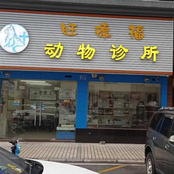 旺德福动物诊所:广州市花都区骏壹万邦附近