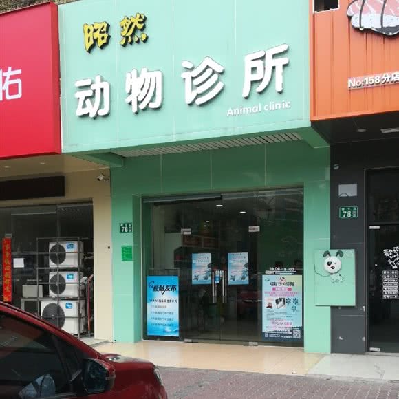 昭然宠物养护园:广州市花都区花都广场/区政府附近