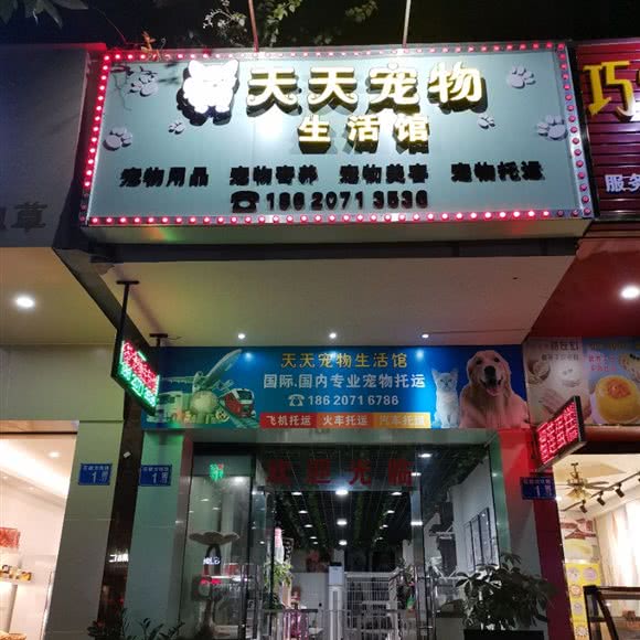 天天宠物生活馆:广州市花都区花都广场/区政府附近