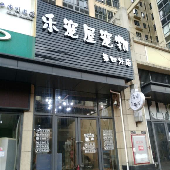乐宠屋宠物狗:广州市花都区花东附近