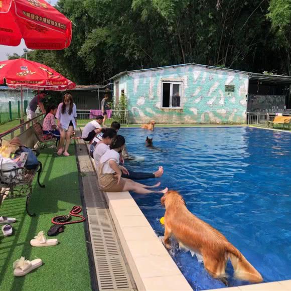 壹佳宠物乐园:广州市花都区花山附近