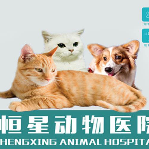 恒星动物医院:广州市花都区花山附近