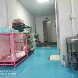 爱妃狗狗会所:广州市花都区狮岭附近