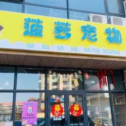 菠萝宠物:天津城区北辰区北仓附近