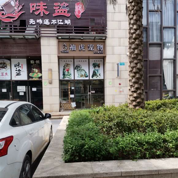 袖虎宠物(星河盛世店):广州市南沙区南沙区附近