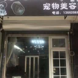 艺宠达人:天津城区北辰区北仓附近