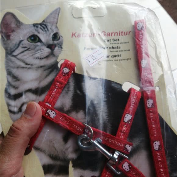 以萌会友动物诊所:广州市南沙区南沙区附近