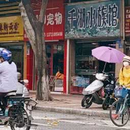 小脚印宠物(中田东路店):广州市从化区从化区附近