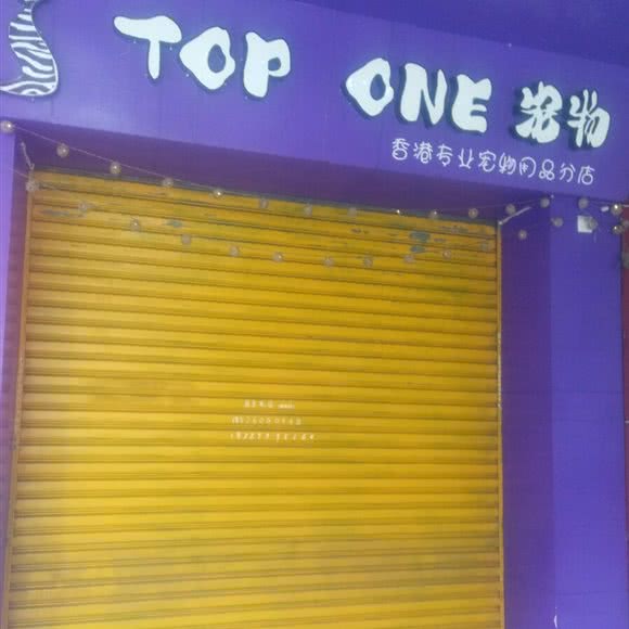 TOP ONE宠物:广州市从化区从化区附近