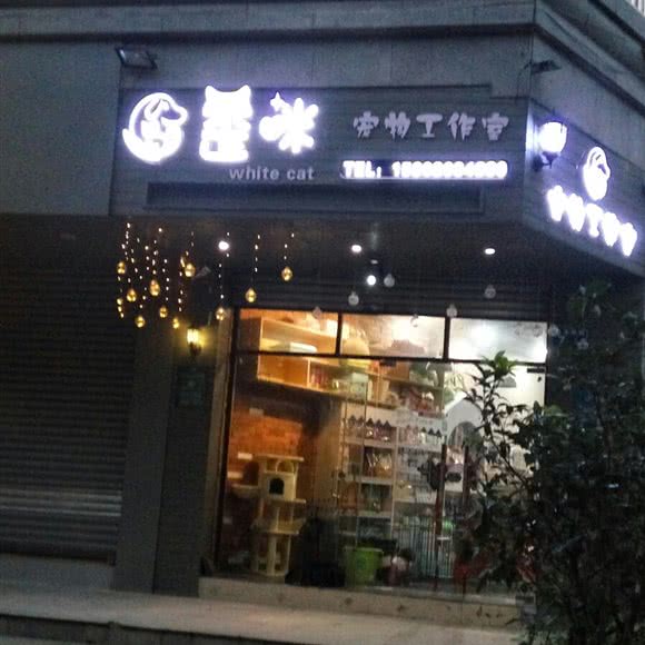 歪咪宠物工作室:广州市从化区从化区附近