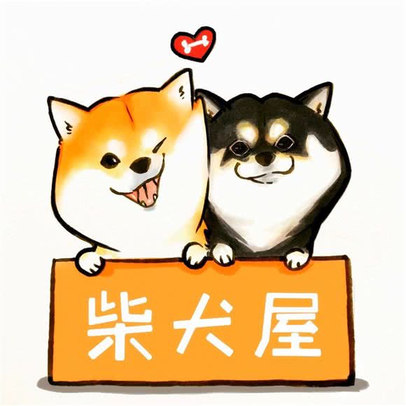柴犬屋犬舍:北京城区朝阳区太阳宫附近