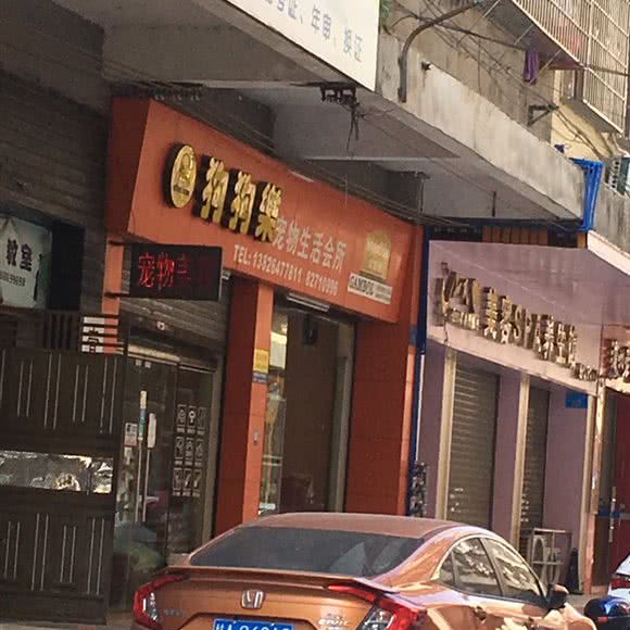 狗狗乐宠物生活会所:广州市增城区挂绿广场/泰富广场附近